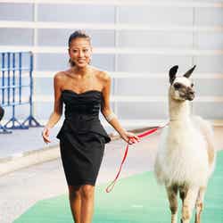 あびる優(C) BBC Worldwide Limited 2011