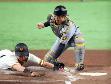阪神・坂本 主将の存在感 直近3戦5安打4打点 好リードで村上完封アシスト「何とかしたいと」