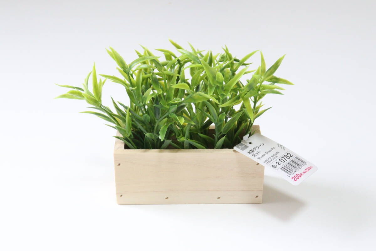 ダイソーの木製グリーンポット