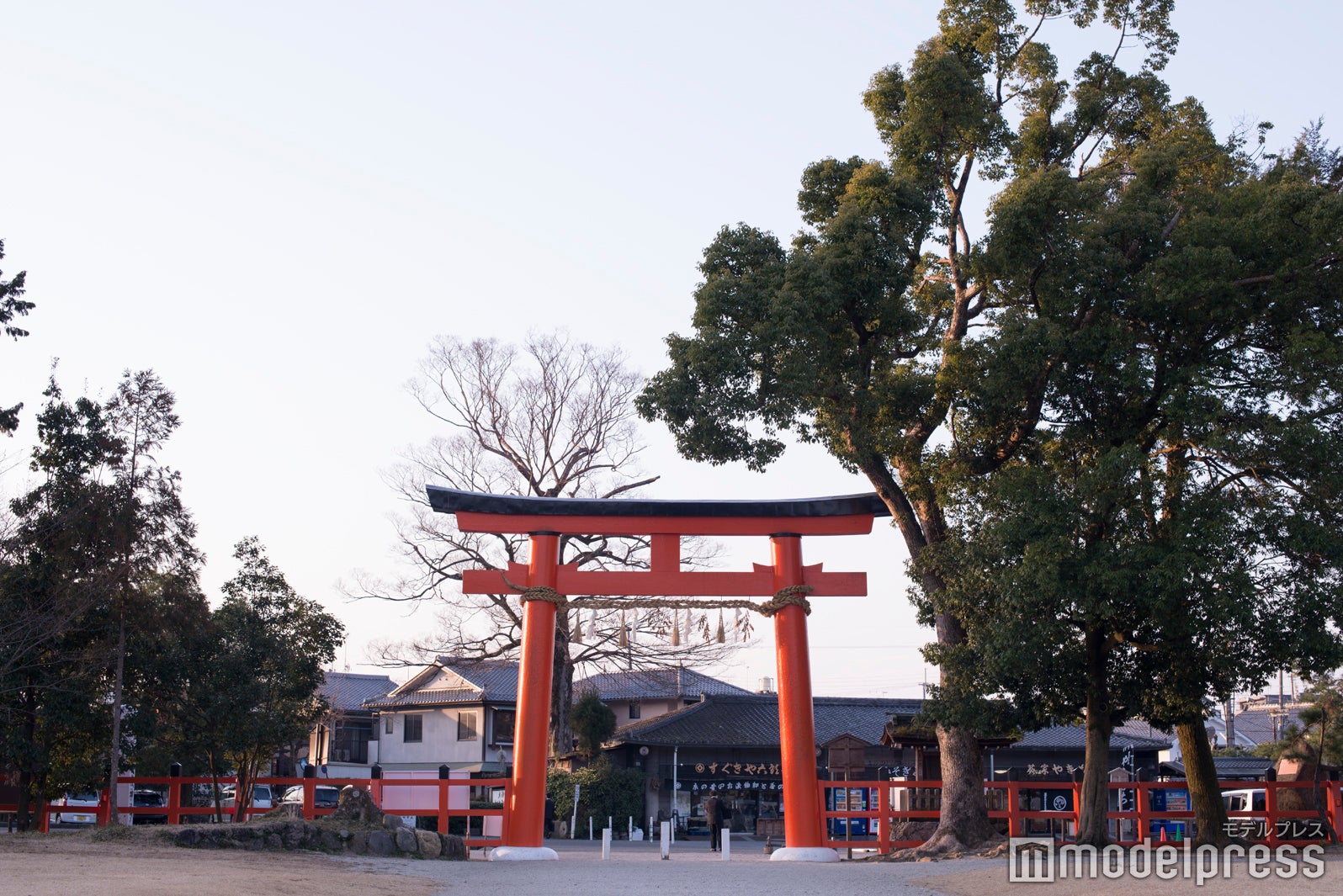 上賀茂神社（C）モデルプレス