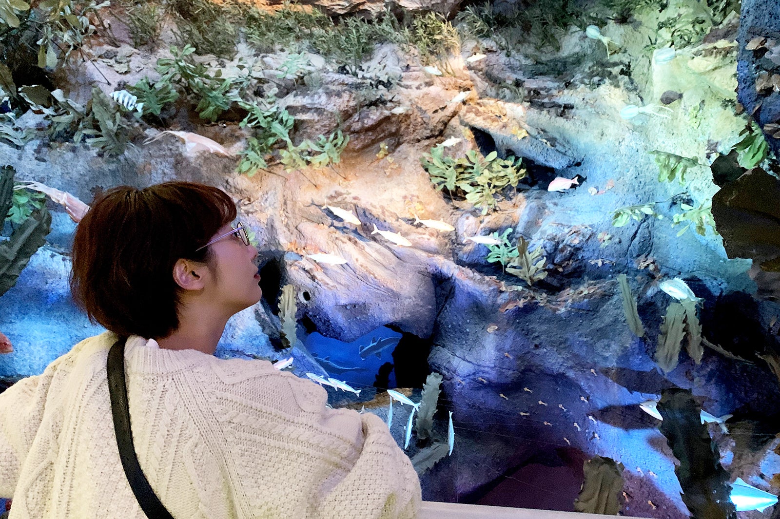 越前がにミュージアム（C）モデルプレス