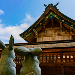 フリー必見!2020年こそは「恋愛成就できる初詣神社」4つ