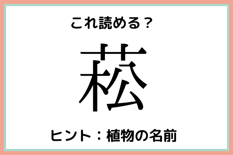菘 まつ じゃない 読めそうで読めない 植物の難読漢字 4選 モデルプレス 菘 まつ じゃない 読めそうで読めない 植物の難読漢字 4選 モデルプレス