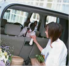 女子に聞く 乗りたいと思う国産車 ランキング モデルプレス 女子に聞く 乗りたいと思う国産車 ランキング モデルプレス