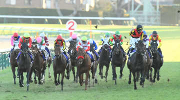 “ロイヤルファミリー効果”で有馬記念の売上げは前年約163億円増の713億円超 21世紀初の700億円代突破