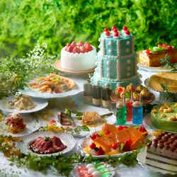 Healing Garden -New Retro Sweets×Glamping Recipes-/提供画像