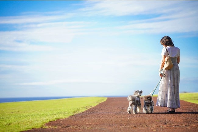 大島／画像提供：AuTaBi