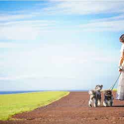 大島/画像提供:AuTaBi