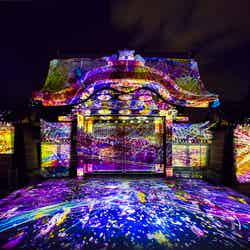 「NAKED FLOWERS 2021」夜の京都で花の体感型アート展