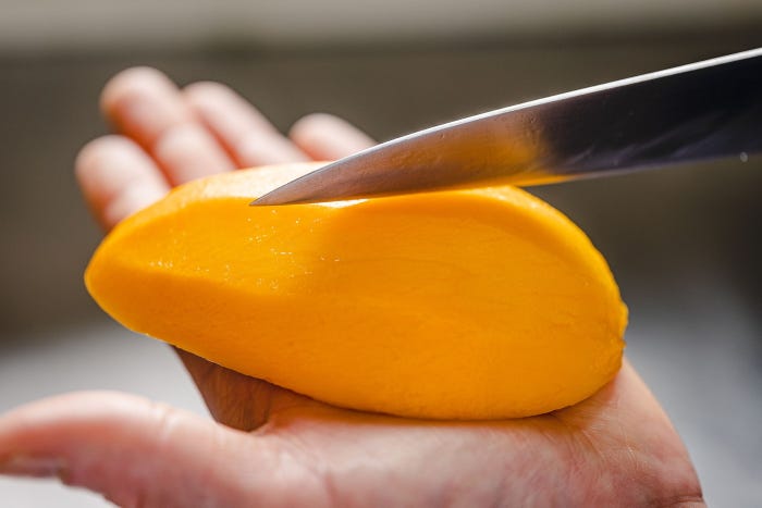 太陽のタマゴ/提供画像