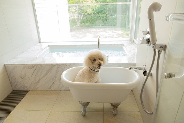 ドッグフレンドリールームなら愛犬用のバスタブも／画像提供：小田急エージェンシー