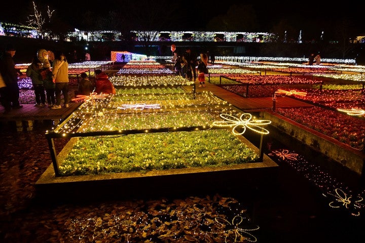 水上花壇／画像提供：鳥取県