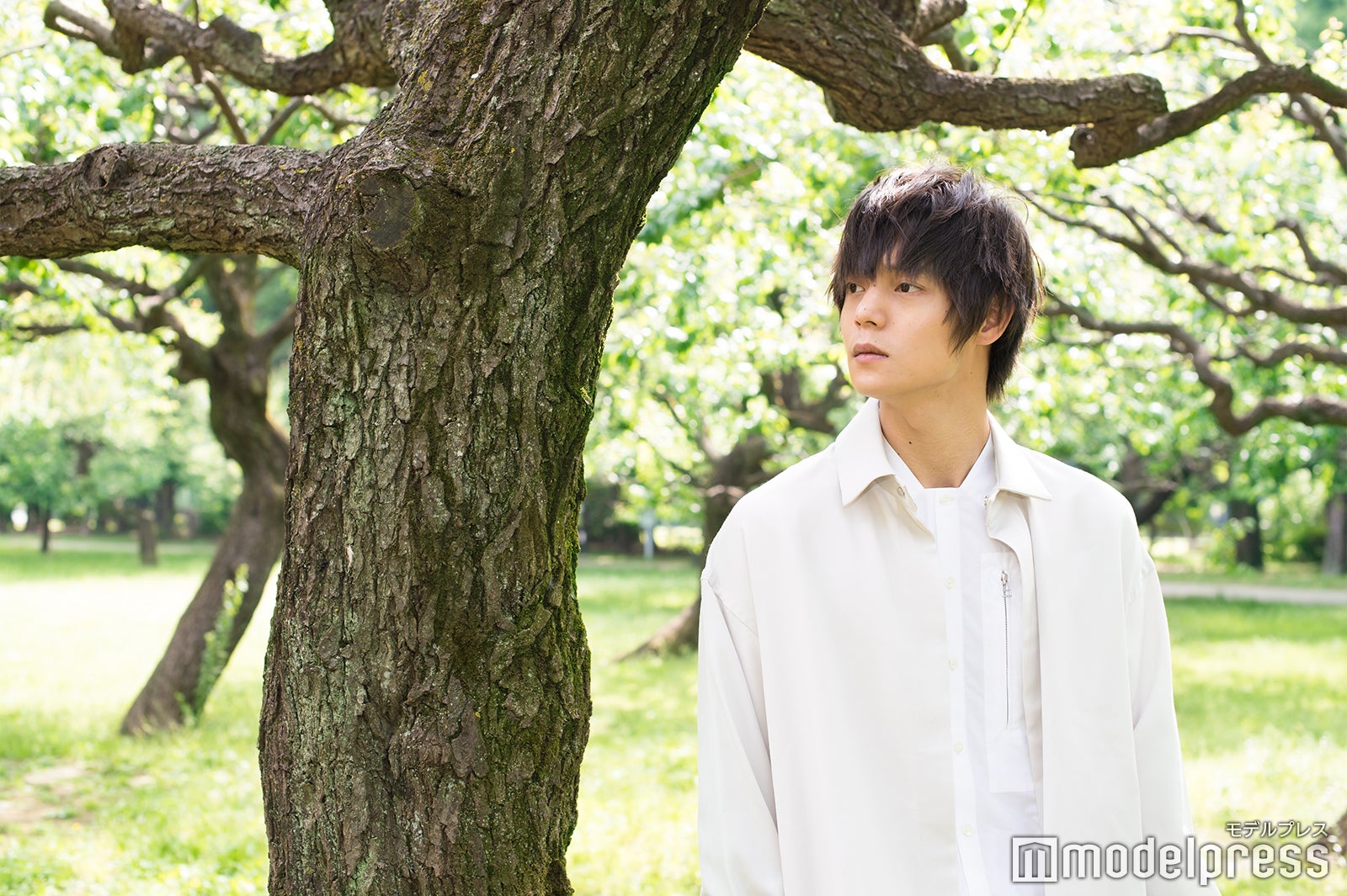 窪田正孝（C）モデルプレス