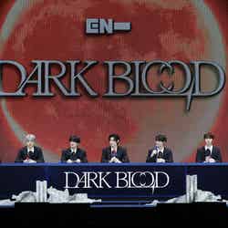 ENHYPEN 4th Mini Album『DARK BLOOD』メディアショーケース（P）＆（C）BELIFT LAB Inc.