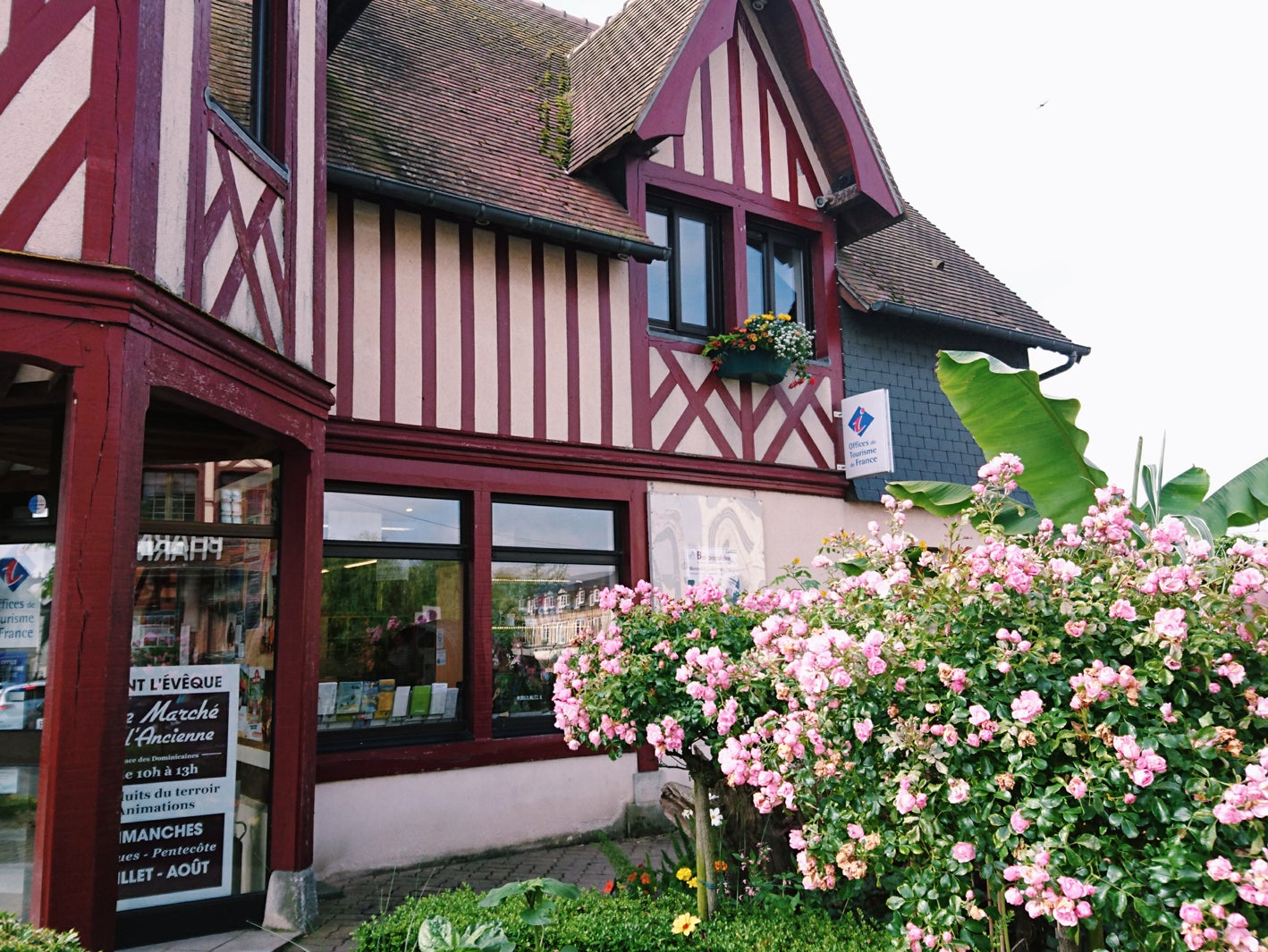 画像提供：所属事務所