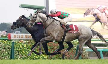 【オールカマー】メイショウゲキリンが重賞初V 重馬場も激走！障害練習で背腰が強化 田辺は今年重賞5勝目