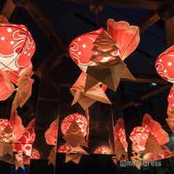 すみだ水族館(C)モデルプレス