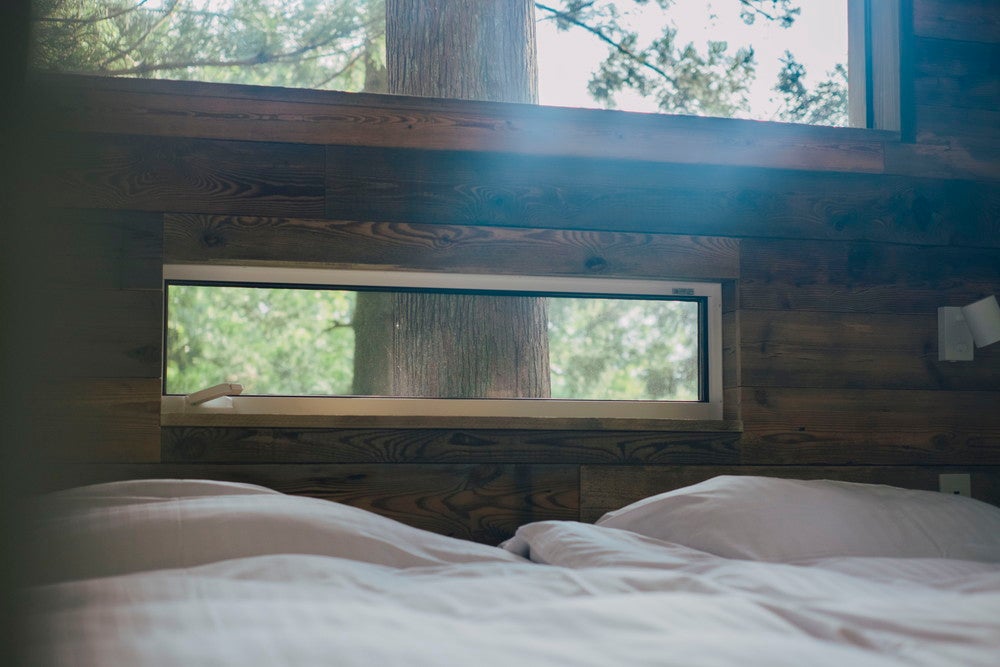 ツリーハウス／画像提供：第一ホテルマネジメント