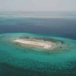 世界初のテレビ撮影となったスーダンのドゥンゴナブ湾(C)TBS