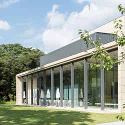 cafe TEIEN/提供:東京都庭園美術館