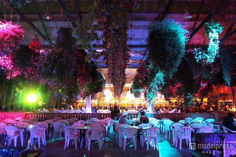 神戸どうぶつ王国フラワーイルミネーション／画像提供：神戸どうぶつ王国