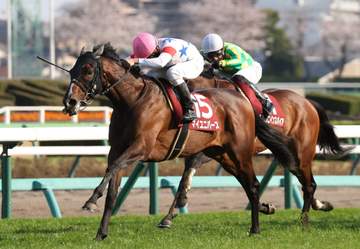 【日経賞】マイユニバース 上がり最速末脚さく裂！重賞初V JRA重賞最年長記録更新した横山典「チャレンジしたい」天皇賞・春に意欲