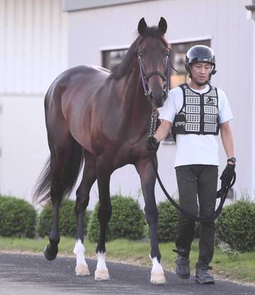 【新馬戦】名門の血受け継ぐチェスティーノ 半姉は24年2冠牝馬・チェルヴィニア きょうだい4頭全て勝ち上がりの良血に期待