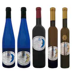 肉祭2025in日比谷公園/提供画像