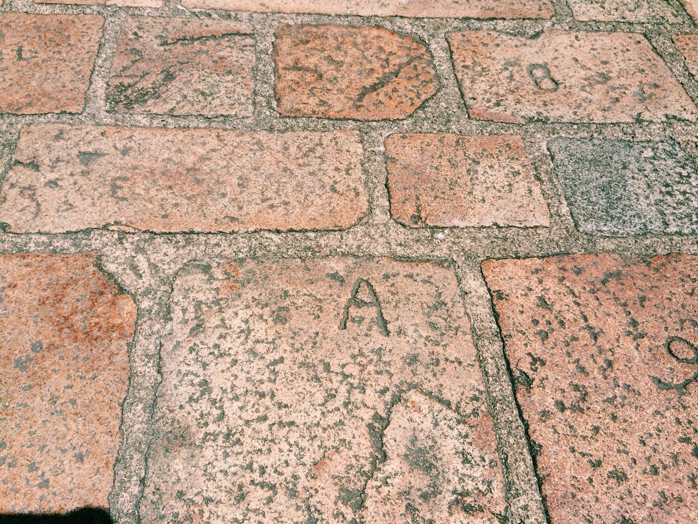 画像提供：所属事務所