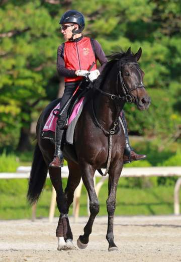 【新馬戦】キューティボンド 姉にダノンベルーガ、ボンドガールの良血に期待 福永師「芝向きのいい走り」