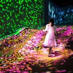 ふわふわな地形のつぶつぶの地層 - A Whole Year per Year/画像提供:チームラボ