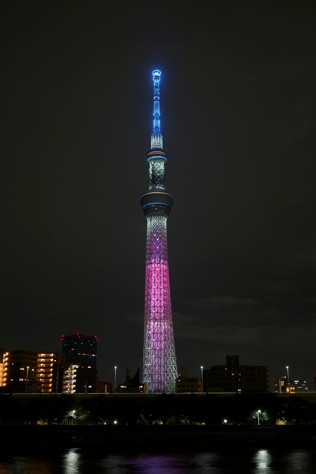 （C）Disney/Pixar. （C）TOKYO-SKYTREE