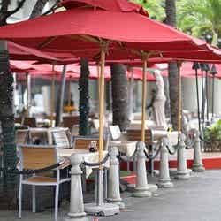 Arancino/画像提供:イデア