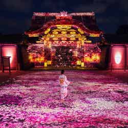 【重要文化財:唐門】プロジェクションマッピング『Spring’s Awakening 』/提供画像