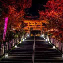 青林寺/画像提供:和倉温泉観光協会