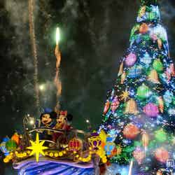ディズニーシー夜のショー「カラー・オブ・クリスマス」／TDS
