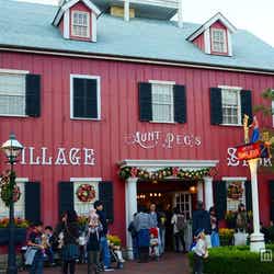 アーント・ペグス・ヴィレッジストア(ダッフィーグッズ専門店)