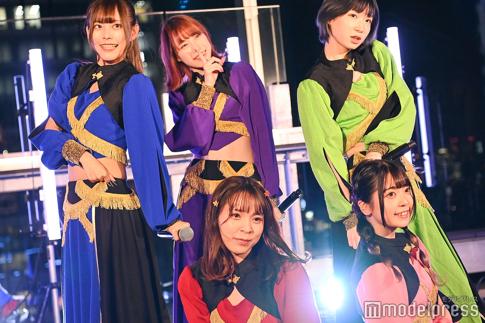 豆柴の大群“クロちゃんのお気に入り”カエデフェニックス