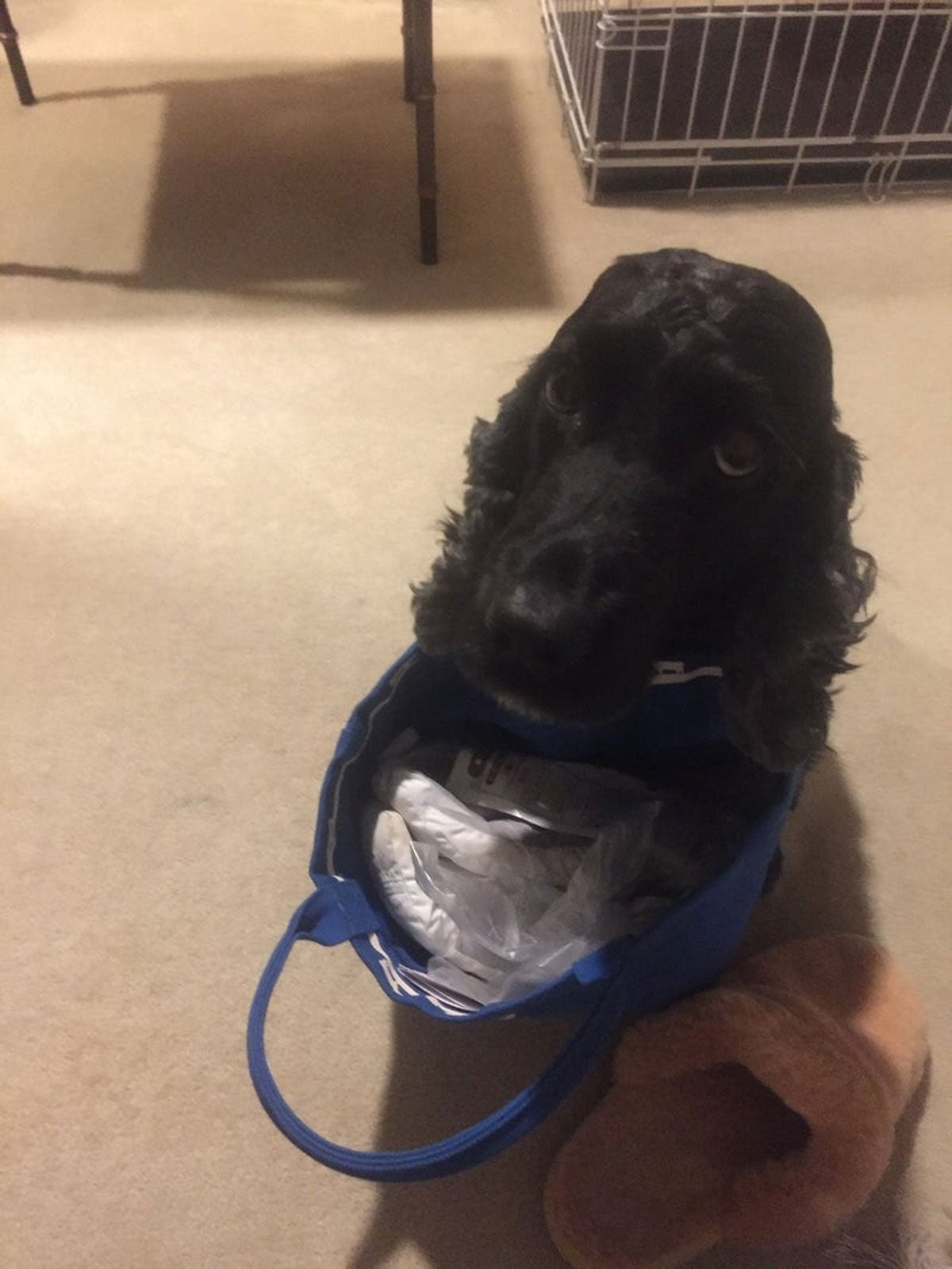 高橋克典オフィシャルブログ（提供写真）