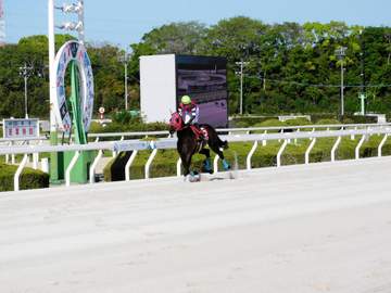 【地方競馬】西日本クラシック ミルトイブニングが大差の逃げ切りで重賞初制覇