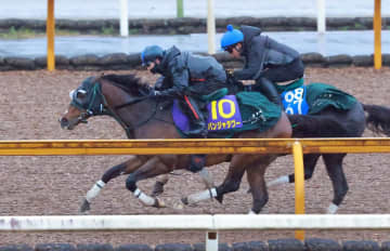 【高松宮記念】パンジャタワー 鋭伸に好感触 1週前追い切りで半馬身先着 松山「馬場が悪い中、よく動けていた」
