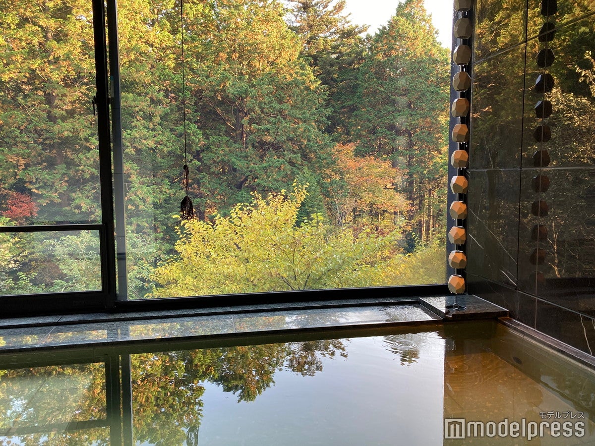 ふふ 日光（C）モデルプレス