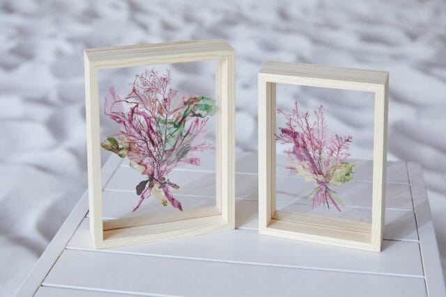 星野リゾート リゾナーレ熱海 星野リゾート リゾナーレ熱海