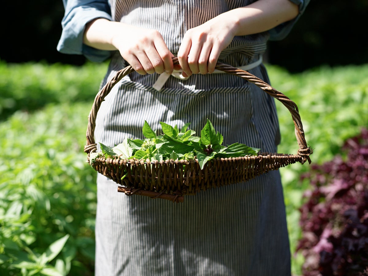 星野リゾート　リゾナーレ那須／画像提供：星野リゾート