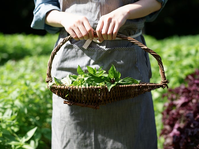 星野リゾート　リゾナーレ那須／画像提供：星野リゾート