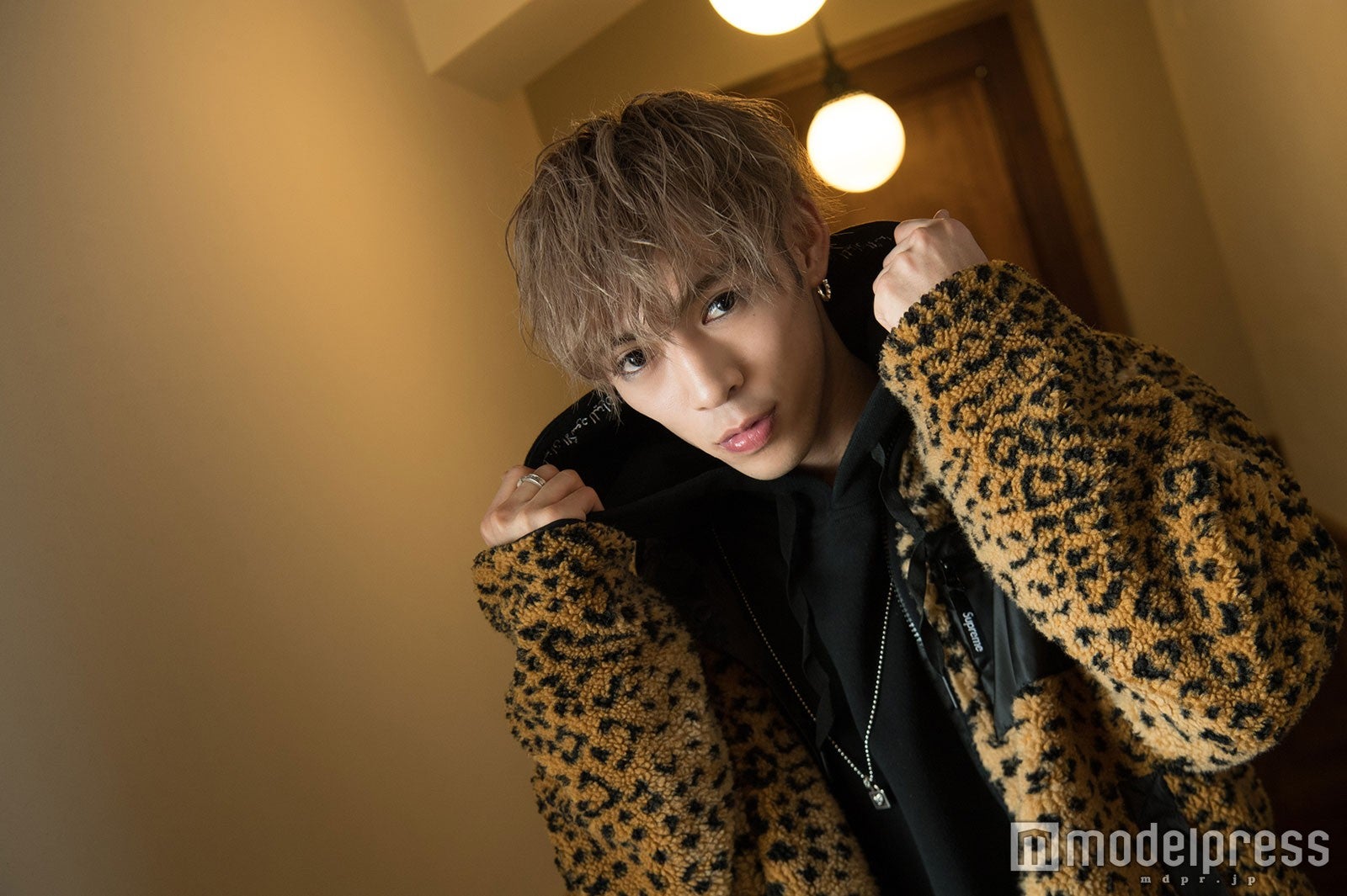 U（C）モデルプレス