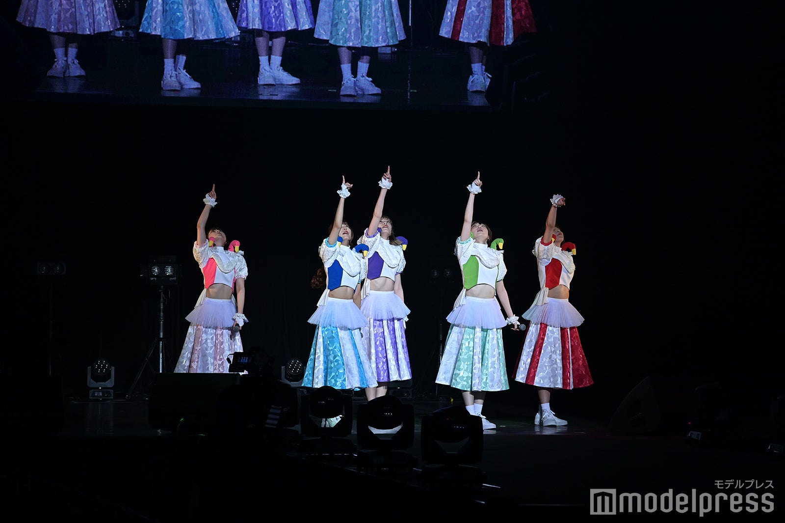 豆柴の大群（C）モデルプレス