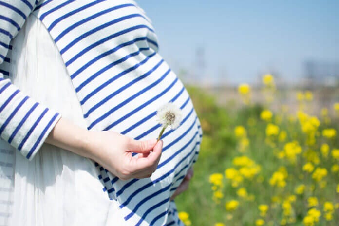 子どもの養育費や老後が不安