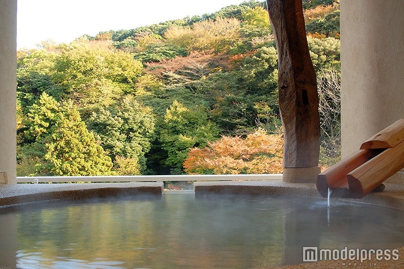 「箱根水明荘」貸切露天 川蝉