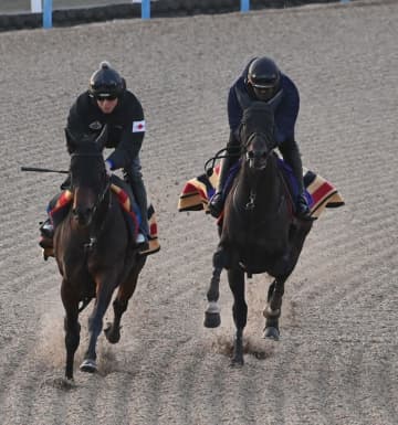 ヘデントールはルメールとの再コンビで京都記念へ